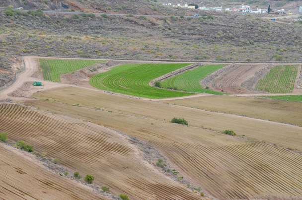 Vista do Campo Cultivado nas Ilhas Canárias - Foto, Imagem