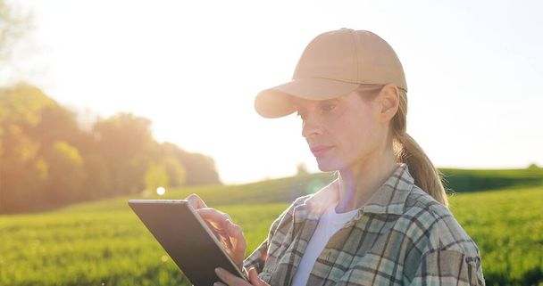 Portrait of attractive female farmer in hat holding tablet device and smiling to camera in green field. Caucasian pretty woman tapping and scrolling on tablet computer in margin. - Fotoğraf, Görsel