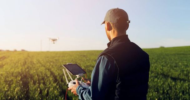 Caucasian man farmer in hat standing in green wheat field and controlling of drone which flying above margin. Male using tablet device as controller. Technologies in farming. Rear. Back view. - Фото, изображение