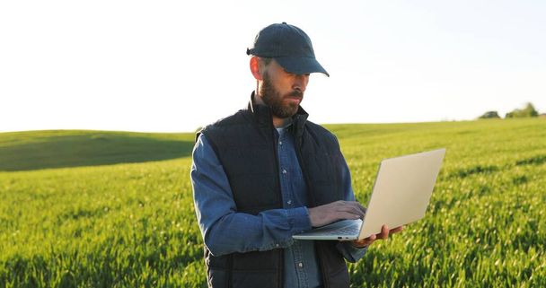 Caucasian young male farmer in hat standing in field and typing on keyboard of laptop computer. Attractive man using device in margin in summer and browsing online. - Фото, изображение