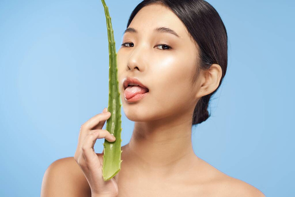 Young beautiful asian woman posing  with aloe vera leaf  - Foto, Imagen