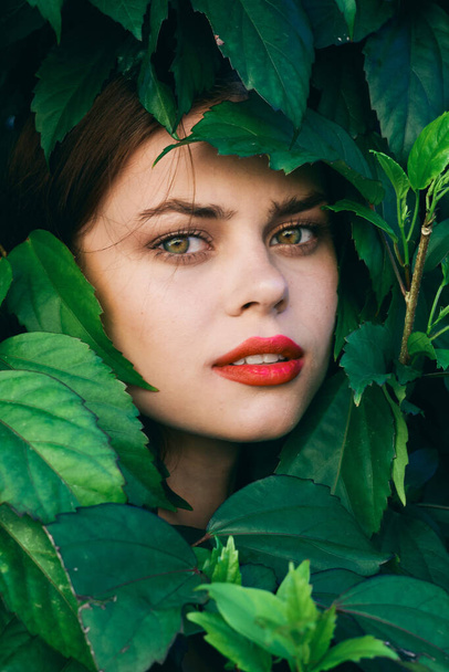 Молодая красивая женщина позирует с листьями вокруг лица
 - Фото, изображение