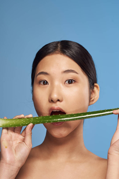 Jovem bela mulher asiática posando com aloe vera folha  - Foto, Imagem
