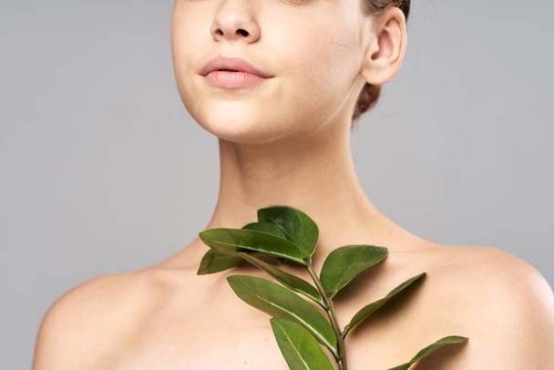 Young woman posing with the leaf in studio - Photo, Image