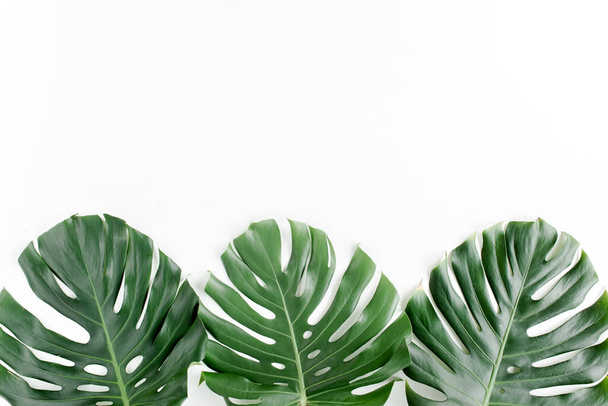 Tropical leaves Monstera on white background. Flat lay, top view - Foto, Imagem