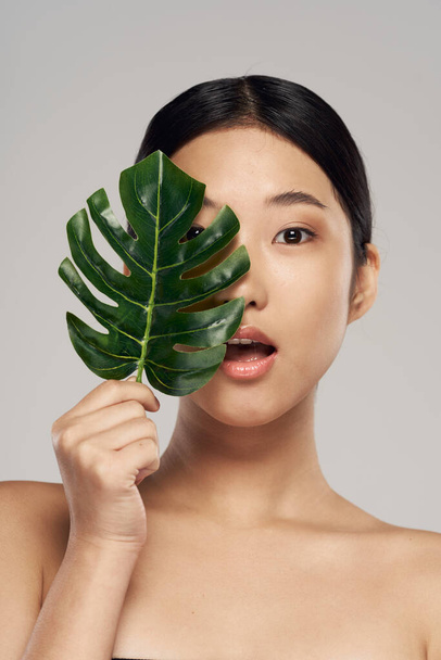 portrait of young asian woman with leaf  - Фото, изображение