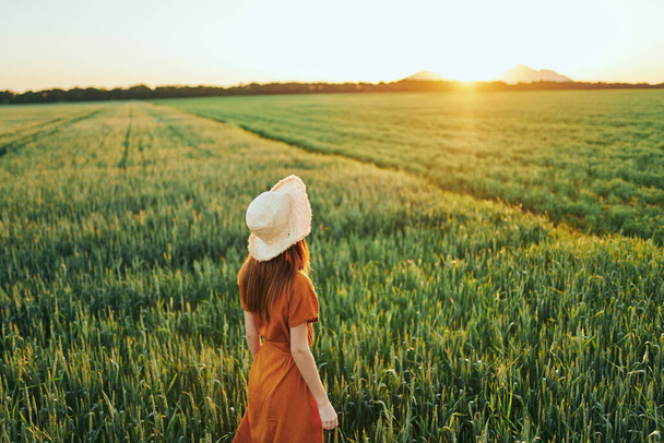 Молода жінка позує на пшеничному полі на заході сонця
 - Фото, зображення