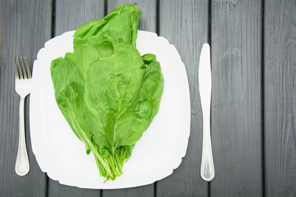 Ispanak, taze ıspanak, mikro yeşil, yeşiller, sağlıklı yiyecekler, vegan, diyet yiyecekler, sağlıklı yiyecekler, vitaminler, lahanalar, çimenler, yaşam, sağlıklı deri, çiğ gıda diyeti, bio, organik - Fotoğraf, Görsel