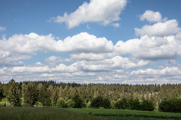 Rothaar vuoret niityt ja metsät kesällä - Valokuva, kuva