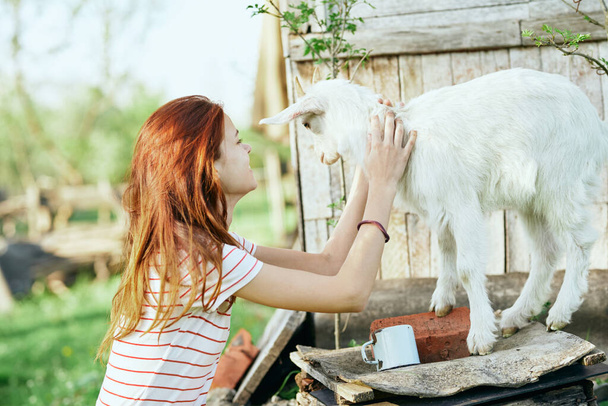 woman with cute  little baby goat on the farm - Foto, Imagen