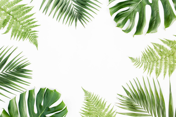 Frame with exotic tropical palm leaves monstera on white background. Flat lay, top view. - 写真・画像