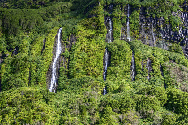 Cascadas en la isla de Flores, archipiélago de las Azores (Portugal)
) - Foto, imagen
