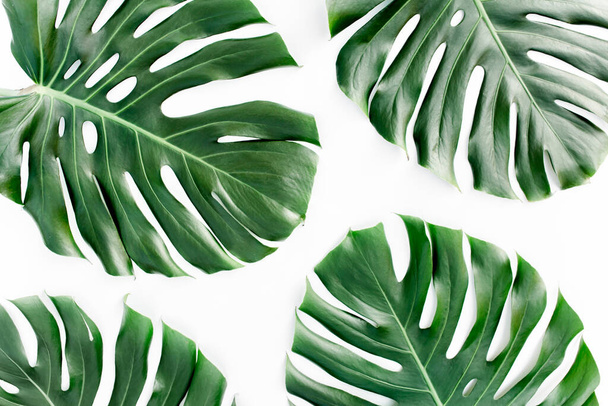 Tropical leaves Monstera on white background. Flat lay, top view - Φωτογραφία, εικόνα