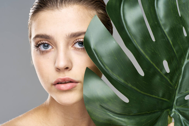 Young beautiful model posing with leaf in studio - 写真・画像