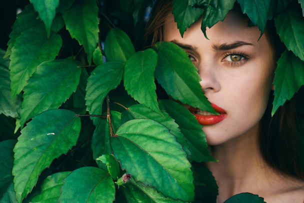 Jovem bela mulher posando com folhas ao redor de seu rosto
 - Foto, Imagem