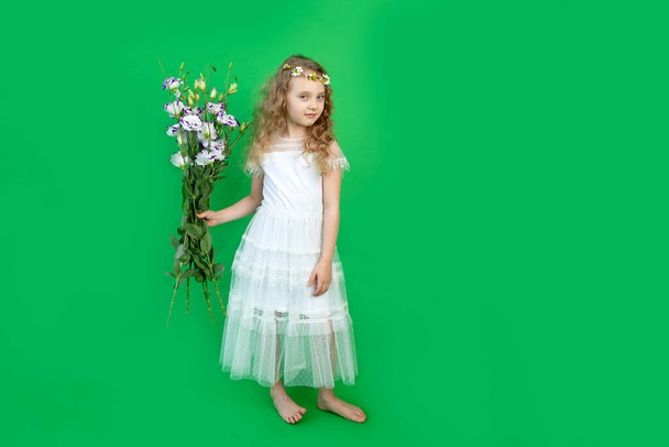 smiling 6-year-old girl with flowers in a beautiful white dress on a green background. space for text - Zdjęcie, obraz