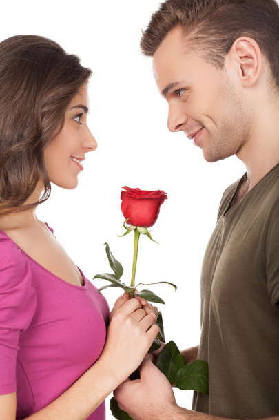 Loving couple holding a red rose - 写真・画像
