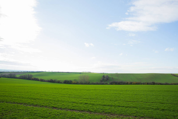 Veduta di vigneti e fattorie nella regione Svatoborice della Moravia Toscana durante una giornata autunnale soleggiata sullo sfondo cielo blu pieno di nuvole e paesaggio ondulato frastagliato pieno di colore verde
. - Foto, immagini