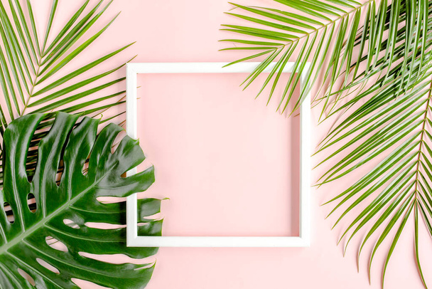 Texture tropical palm leaf Monstera and white frame for text on pink background. Flat lay, top view - Фото, зображення