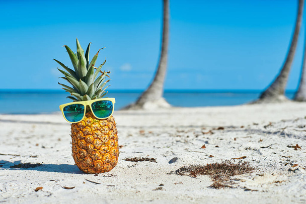  pineapple and sunglasses on the tropical beach                    - Photo, Image