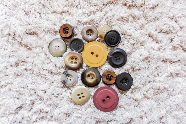 clothing buttons isolated on furry carpet - Photo, Image