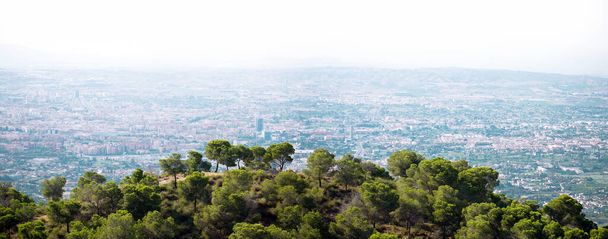 Panoramic aerial view of Murcia cityscape and forest. Dron shot - Фото, изображение