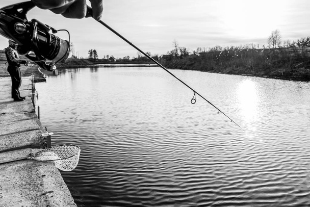 湖でのマス釣り - 写真・画像