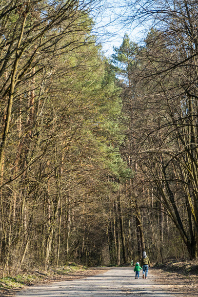 Lapset kävelevät metsässä. Eristys - Valokuva, kuva