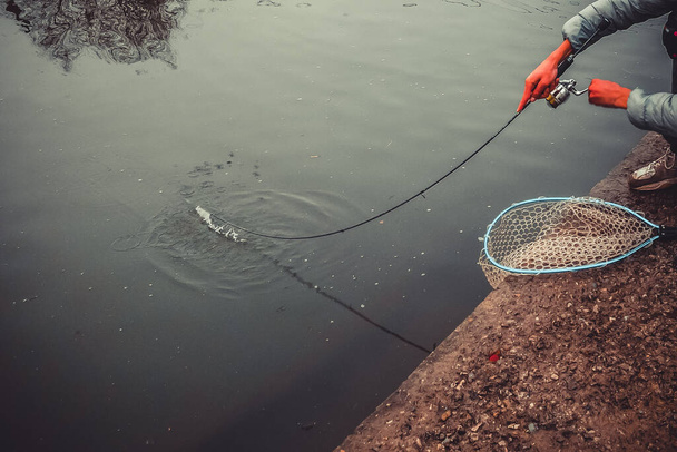 Łowienie pstrągów na jeziorze, wędkarstwo sportowe i działalność na świeżym powietrzu - Zdjęcie, obraz