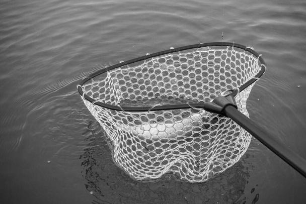 Pike rybaření na jezeře - Fotografie, Obrázek