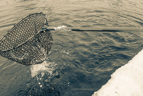 taimenen kalastus tumma tausta - Valokuva, kuva