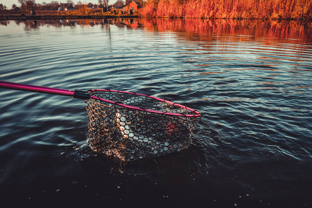 Αλιεία με καλάμι στη λίμνη, αθλητική αλιεία και υπαίθριες δραστηριότητες - Φωτογραφία, εικόνα