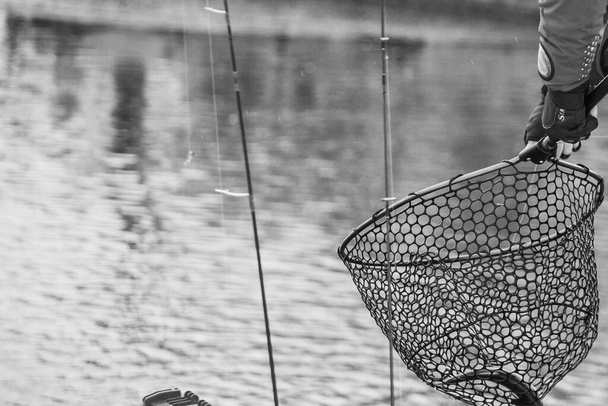trucha pesca fondo oscuro
 - Foto, imagen