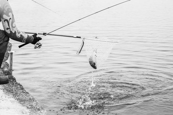 Forel vissen op het meer. Recreatie visserij - Foto, afbeelding