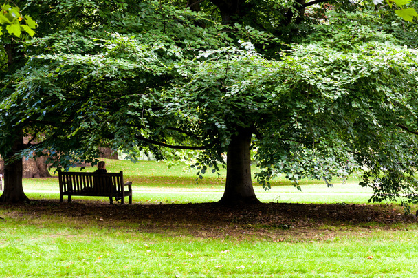 una mujer sentada en el banco en el parque - Foto, Imagen