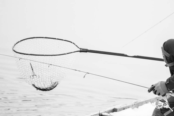 trout fishing dark background - Photo, Image
