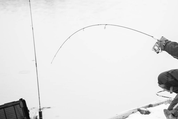 αλιεία πέστροφας - Φωτογραφία, εικόνα