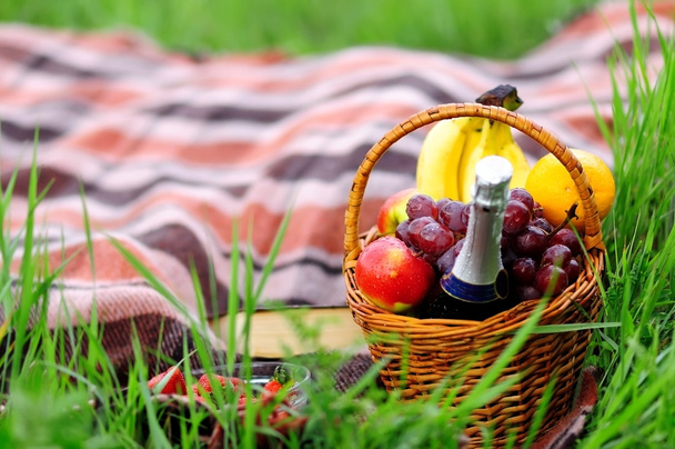Outdoors romantic picnic - 写真・画像