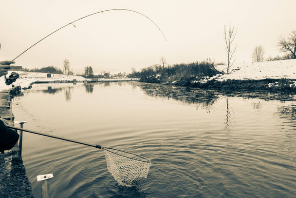 Τράουτ αλιεία στη λίμνη - Φωτογραφία, εικόνα