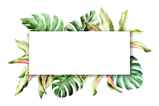 Isolated tropic palm leaves frame - Photo, image