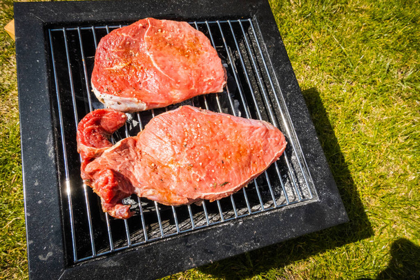 Grill steaks, camping. Portable grill - Photo, Image