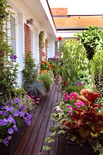 Beautiful modern terrace with a lot of flowers - Photo, Image