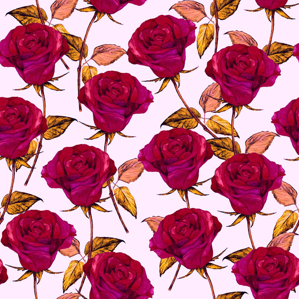 Watercolor seamless pattern with beautiful roses. Romantic floral summer print. Vintage natural background. - Foto, Bild