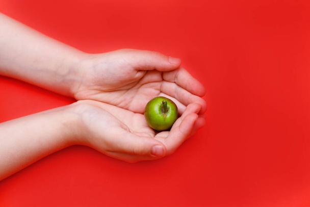 A small Apple in the palm of your hand on a red backgrond - Foto, immagini
