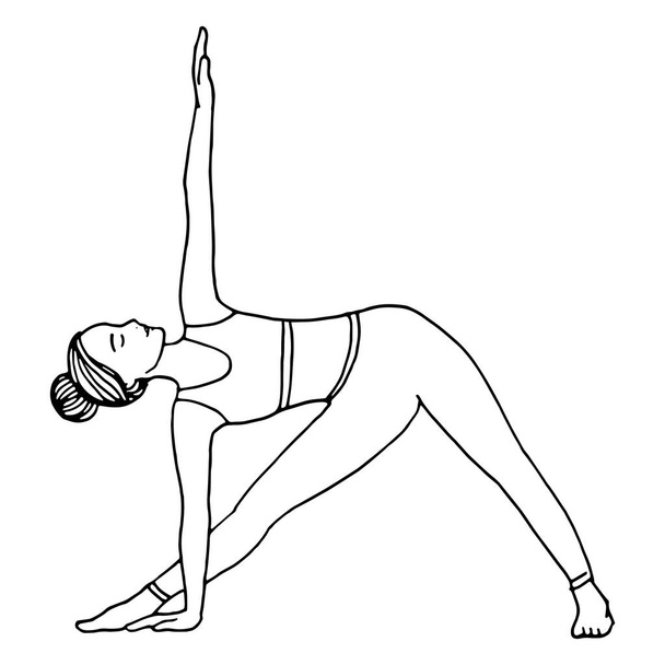 Mujer haciendo fitness y yoga. Ilustración vectorial dibujada a mano. Posición de yoga
. - Vector, imagen