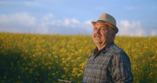 Gün batımında iş çıkışı kolza tarlasında şapkalı yaşlı bir çiftçi gün batımını seyrediyor. Kolza tarlasında bir çiftçinin portresi. İşten sonra traktör sürücüsü. - Video, Çekim