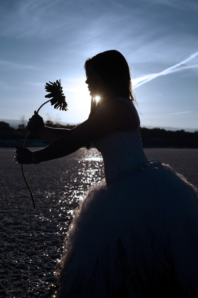 silhouette formal ice with flower - Photo, Image