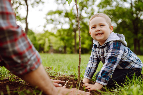 Little boy helping his grandfather to plant the tree while working together in the garden. Fun little gardener. Spring concept, nature and care. - Photo, image