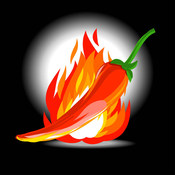 Chilli paprika a plamen plují ve tmě - Vektor, obrázek