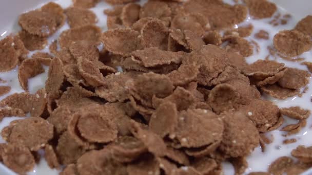 Wheat Flakes Drop Into Milk. Slow motion 250 fps - Footage, Video